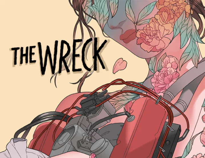 The Wreck (steam key)