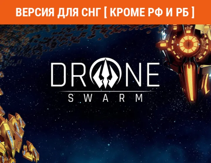 Drone Swarm (steam key) no RU no BY