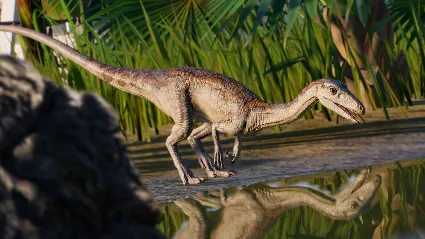 Jurassic World Evolution 2: Park Managers' Collection