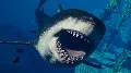 Jurassic World Evolution 2: Pa — фото 2