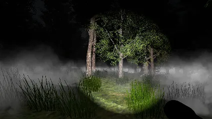 Go Outside Simulator 💎 АВТОДОСТАВКА STEAM GIFT РОССИЯ