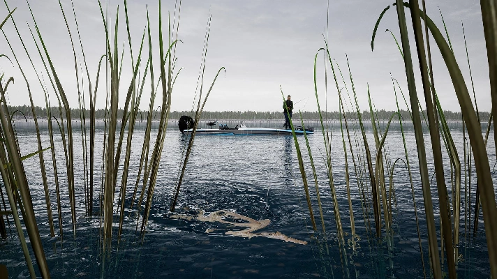 Fishing Sim World Pro Tour Lake Dylan (steam key) DLC