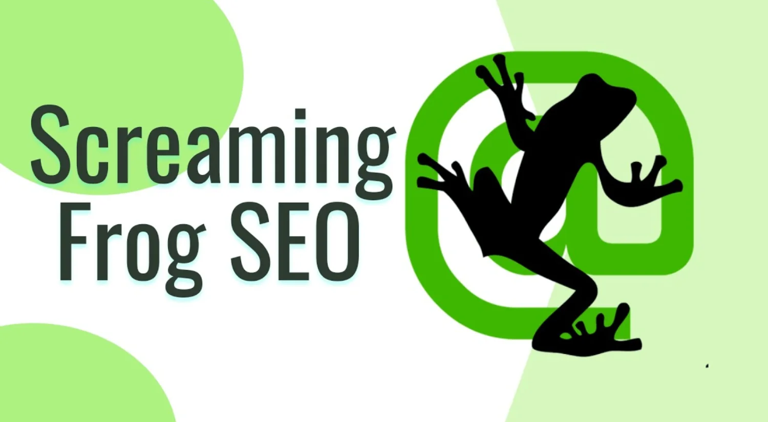 ️ Screaming Frog SEO Spider  ключ, код до 11.07.2026