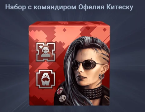 Набор с командиром Офелия Китеску