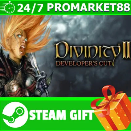 ⭐ ️ВСЕ СТРАНЫ ⭐ ️ Divinity II: Developer's Cut STEAM