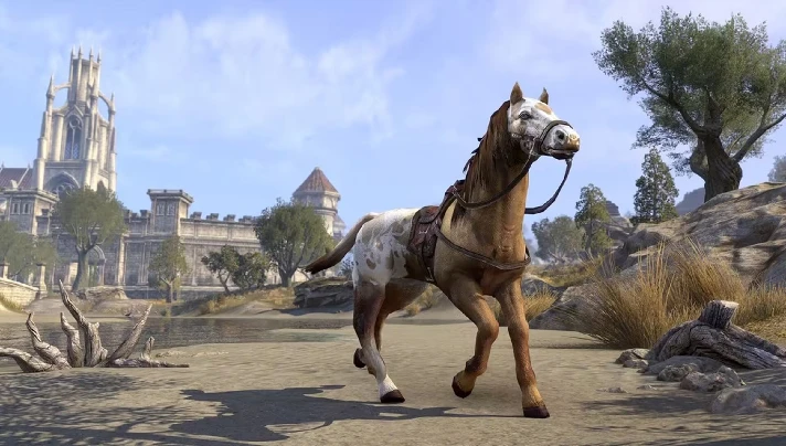 The Elder Scrolls Online - Sungold Bay Thoroughbred