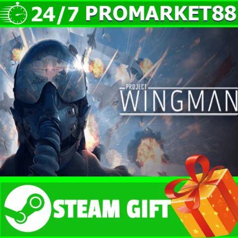 ⭐️ВСЕ СТРАНЫ+РОССИЯ⭐️ Project Wingman Steam Gift