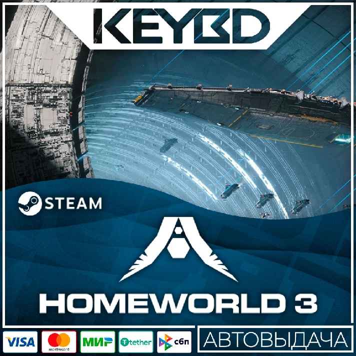 Homeworld 3 · Steam Gift🚀AUTODELIVERY💳0% Cards