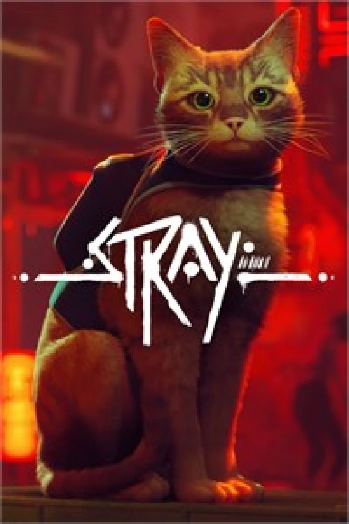 ☀️Stray XBOX💵