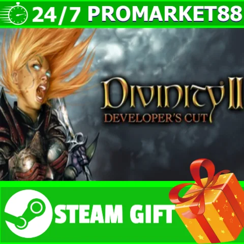 ⭐️ВСЕ СТРАНЫ⭐️ Divinity II: Developer's Cut STEAM