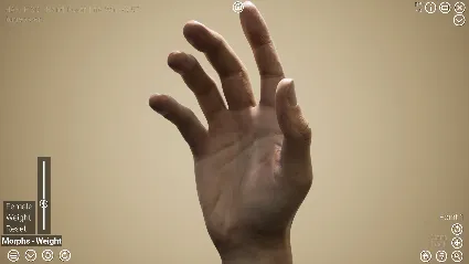 HAELE 3D - Hand Poser Lite 💎 АВТОДОСТАВКА STEAM РОССИЯ