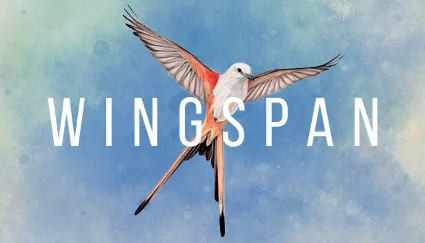 WINGSPAN (КРЫЛЬЯ) + DLC ✔ ️STEAM Аккаунт ✔ на 90 дней