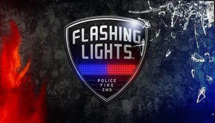 Flashing Lights - ОНЛАЙН ✔ ️STEAM Аккаунт ✔ на 30 дней