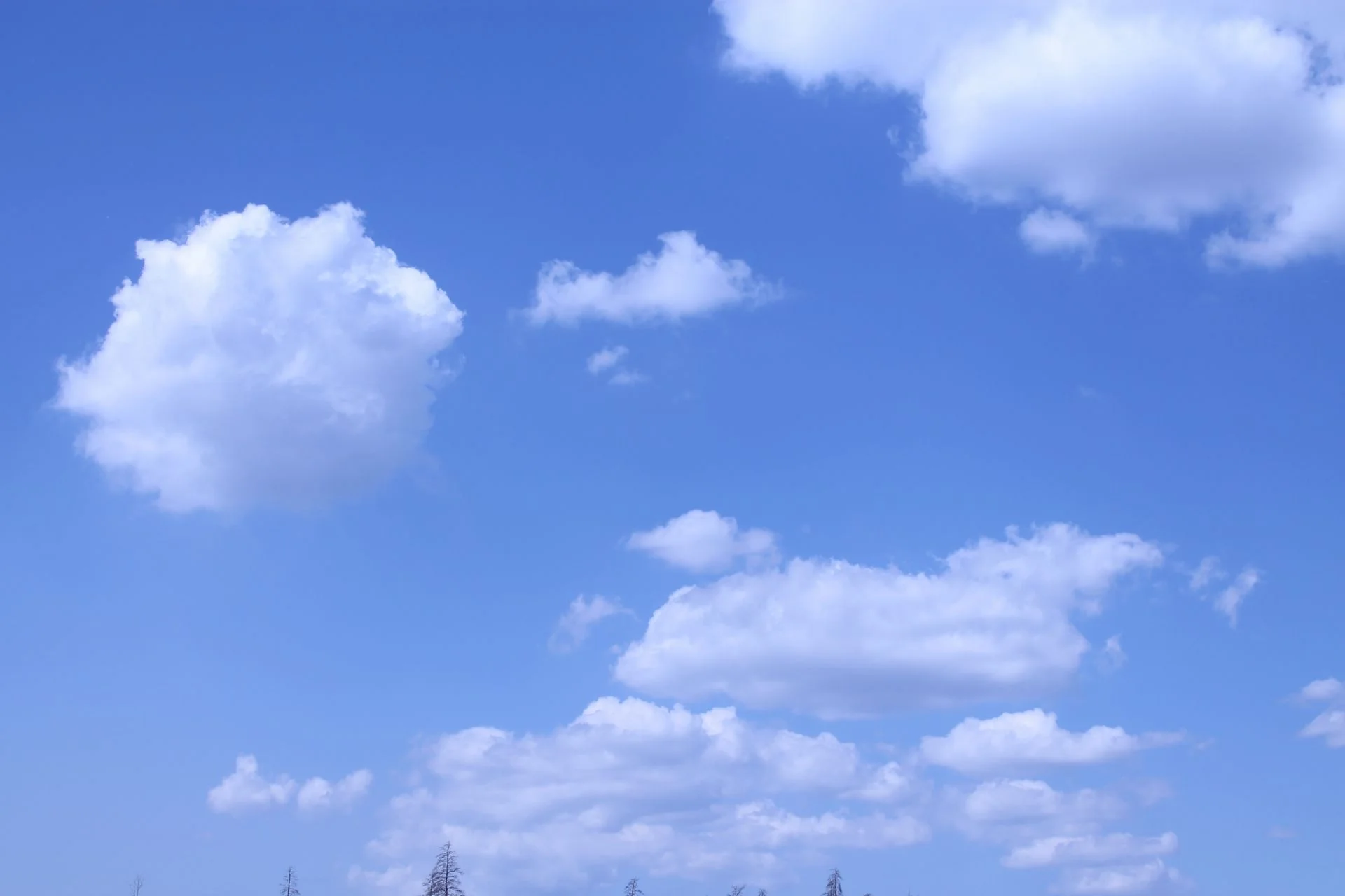 Фотография Теплое летнее небо