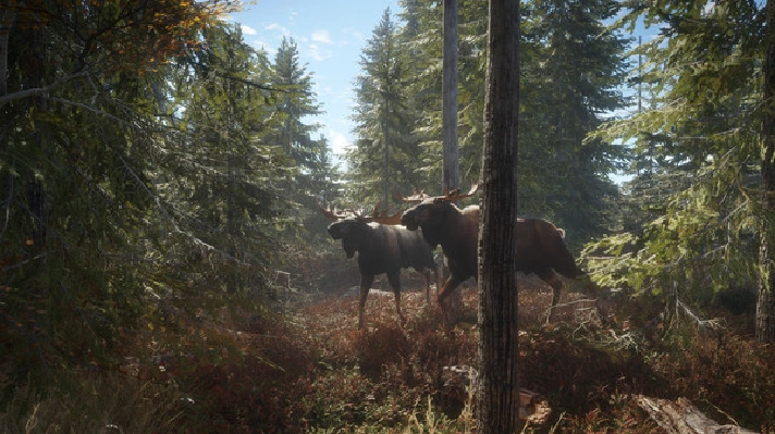 theHunter: Call of the Wild™✅STEAM GIFT AUTO✅RU/UKR/CIS