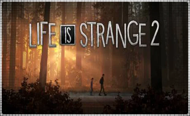  Life is Strange 2 (PS4/PS5/RU) П3 - Активация