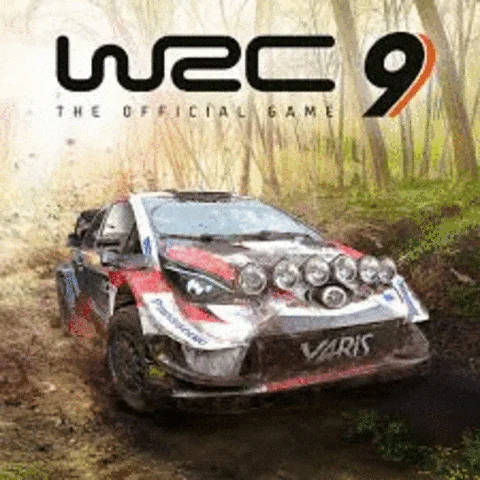  WRC 9 FIA World Rally Championship️PS4/PS5  TR