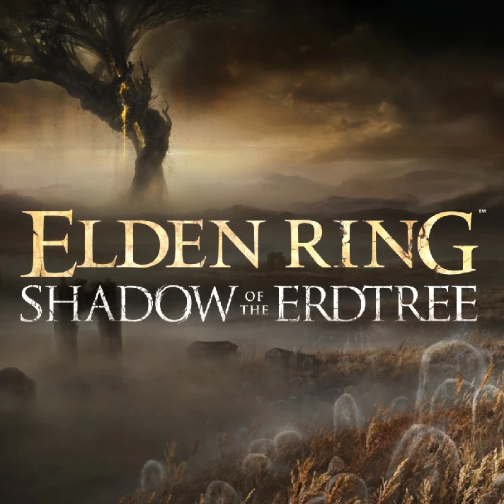 🟡ELDEN RING + 🌳DLC Shadow of the Erdtree