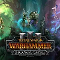 TOTAL WAR WARHAMMER III+II+I+В — фото 3