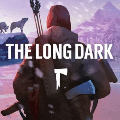  The Long Dark️PS4/PS5  Турция