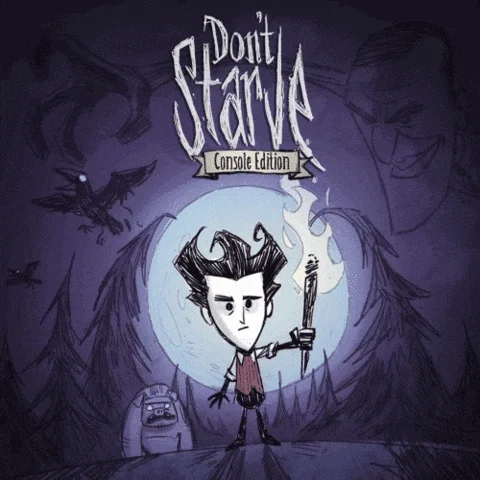  Dont Starve: Console Edition️PS4/PS5  Турция