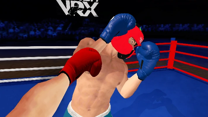 🔥 PunchVRX - Boxing Game & Fighting Game for Pico VR