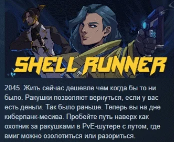 Shell Runner  АВТОДОСТАВКА STEAM GIFT РОССИЯ