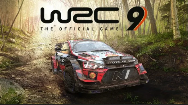  WRC 9 FIA World Rally (PS4/PS5/RU) П3 - Активация