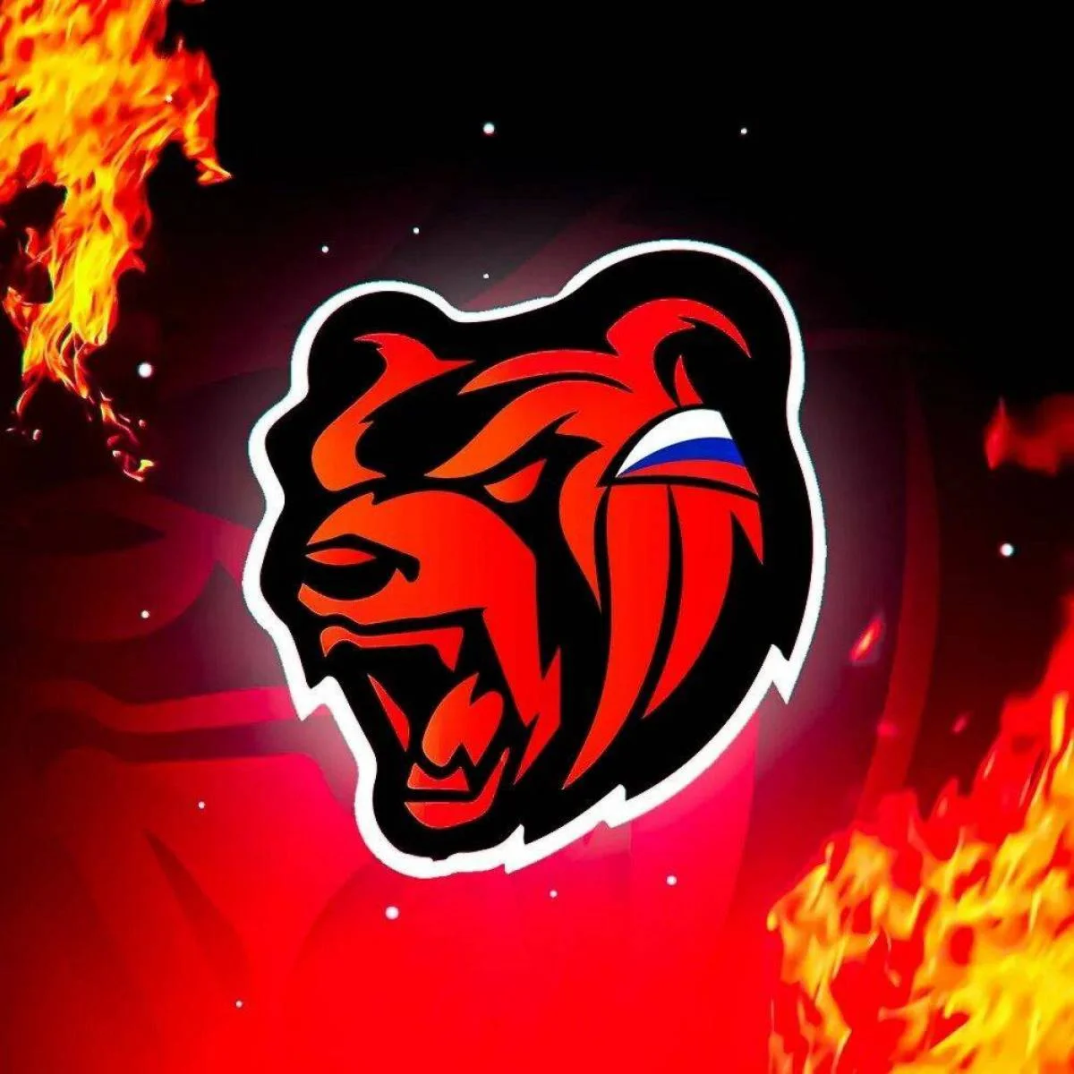 BLACK RUSSIA | ДОНАТ по НИКУ | БЫСТРО!