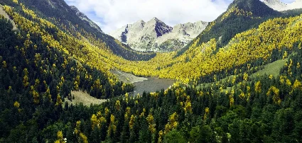 REX ACCU SEASON MSFS2020 Аккаунт