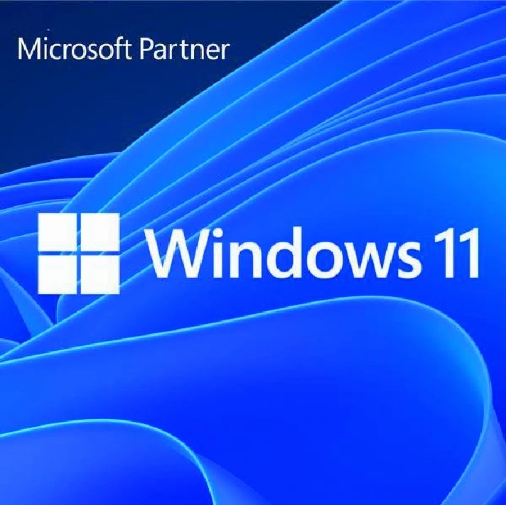 🔵WINDOWS 10/11 PRO /HOME 💯 WARRANTY