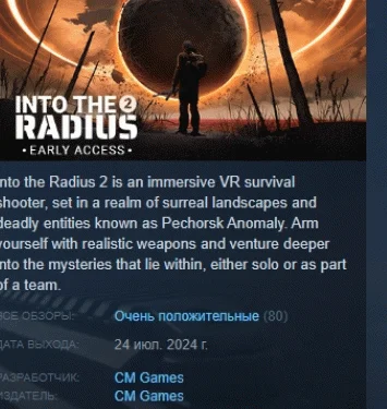 Into the Radius 2  АВТОДОСТАВКА STEAM GIFT РОССИЯ