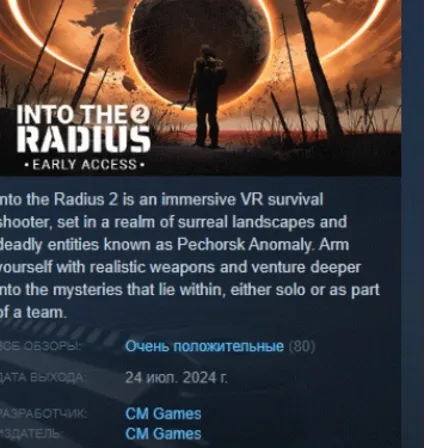 Into the Radius 2 АВТОДОСТАВКА STEAM РОССИЯ