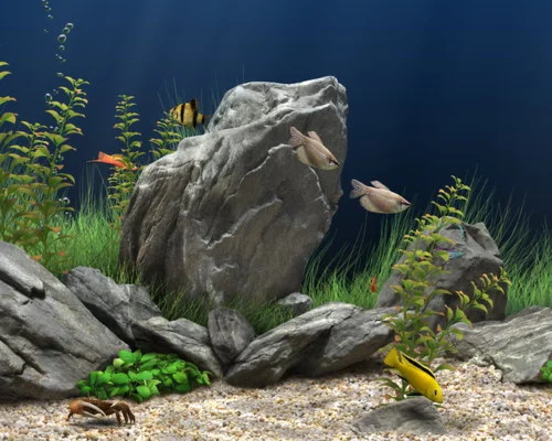 Лучший скринсейвер из серии аквариумов 2009 + БОНУС