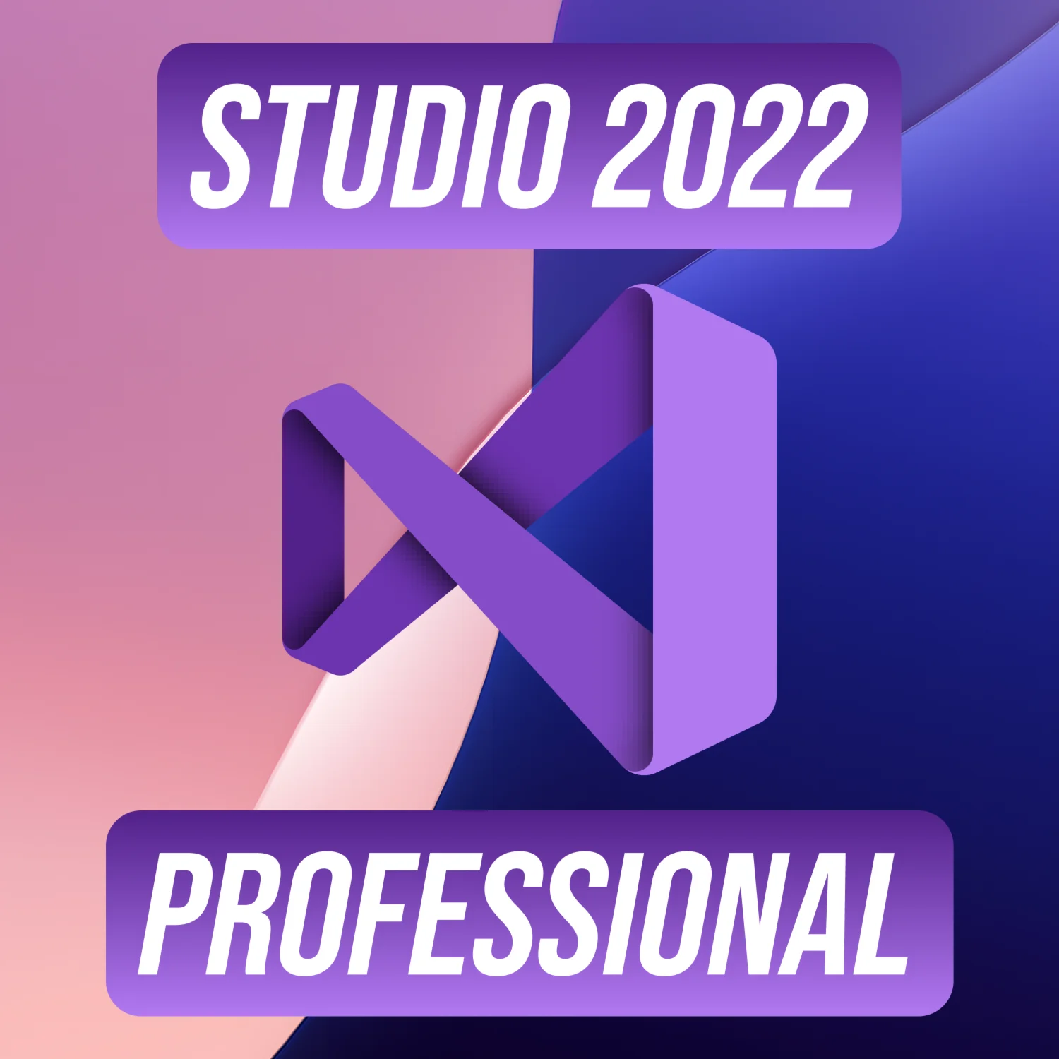 Microsoft Visual Studio Professional 2022
