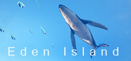 Eden Island 💎 АВТОДОСТАВКА STEAM GIFT РОССИЯ