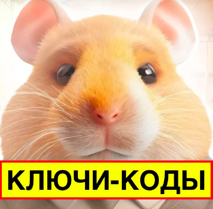 🔑KEYS-CODES TRAIN🐹HAMSTER KOMBAT 1pcs.