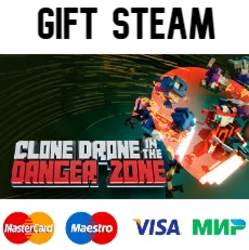 Clone Drone in the Danger Zone | steam RU/UA/KZ