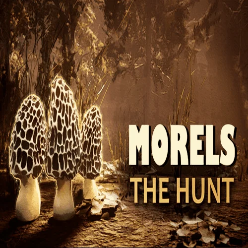 ️Morels: The Hunt 2 | ПК Epic Games EGS️