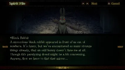 Spirit Hunter: Death Mark АВТОДОСТАВКА STEAM РОССИЯ