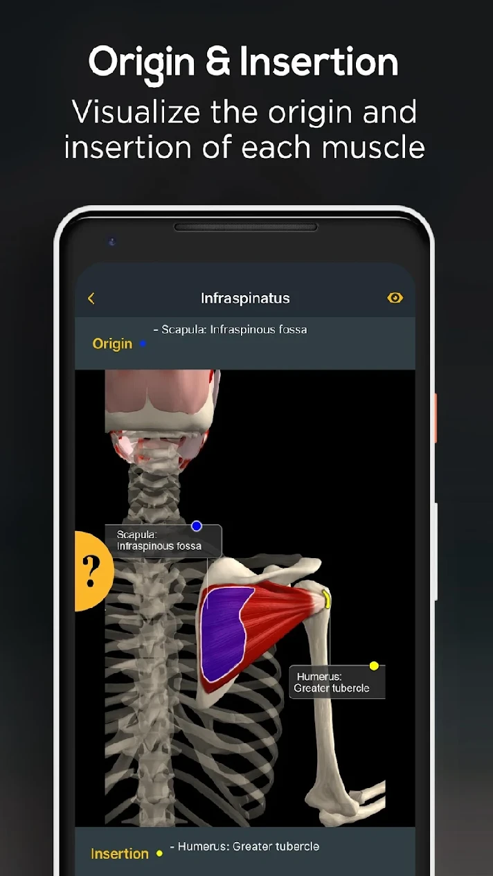 Anatomy by Muscle and Motion | 1/12 months to your acc