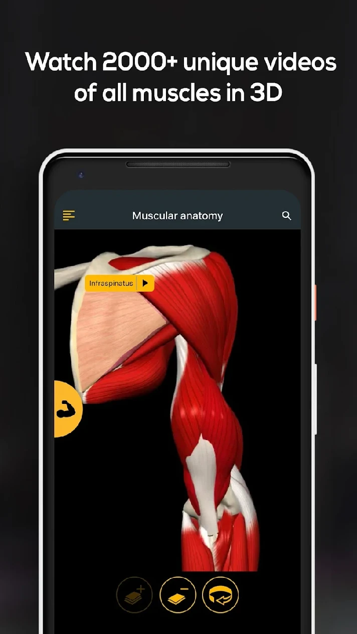 Anatomy by Muscle and Motion | 1/12 months to your acc