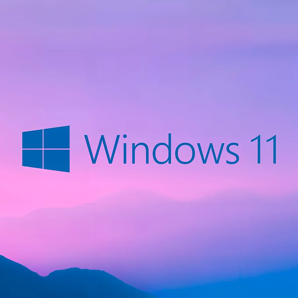 Windows 10/11 Pro