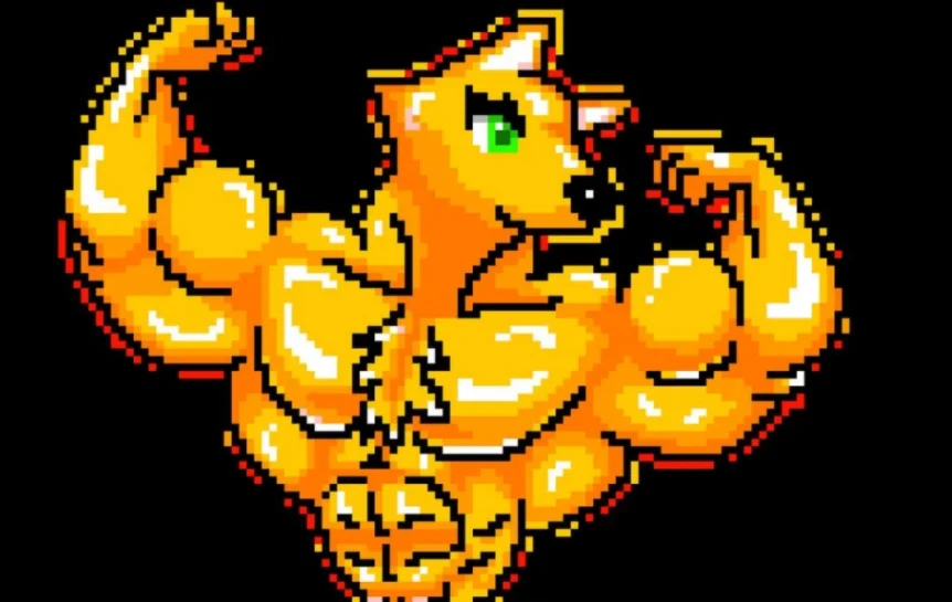 Рефералы DJDOGDEJENDOG