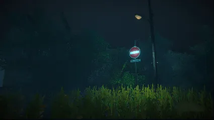 Remnants of the Macabre АВТОДОСТАВКА STEAM РОССИЯ
