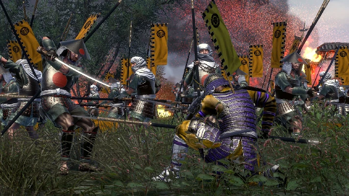 Total War: SHOGUN 2 - The Ikko Ikki Clan Pack Steam RU