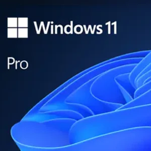Windows 10/11 Pro