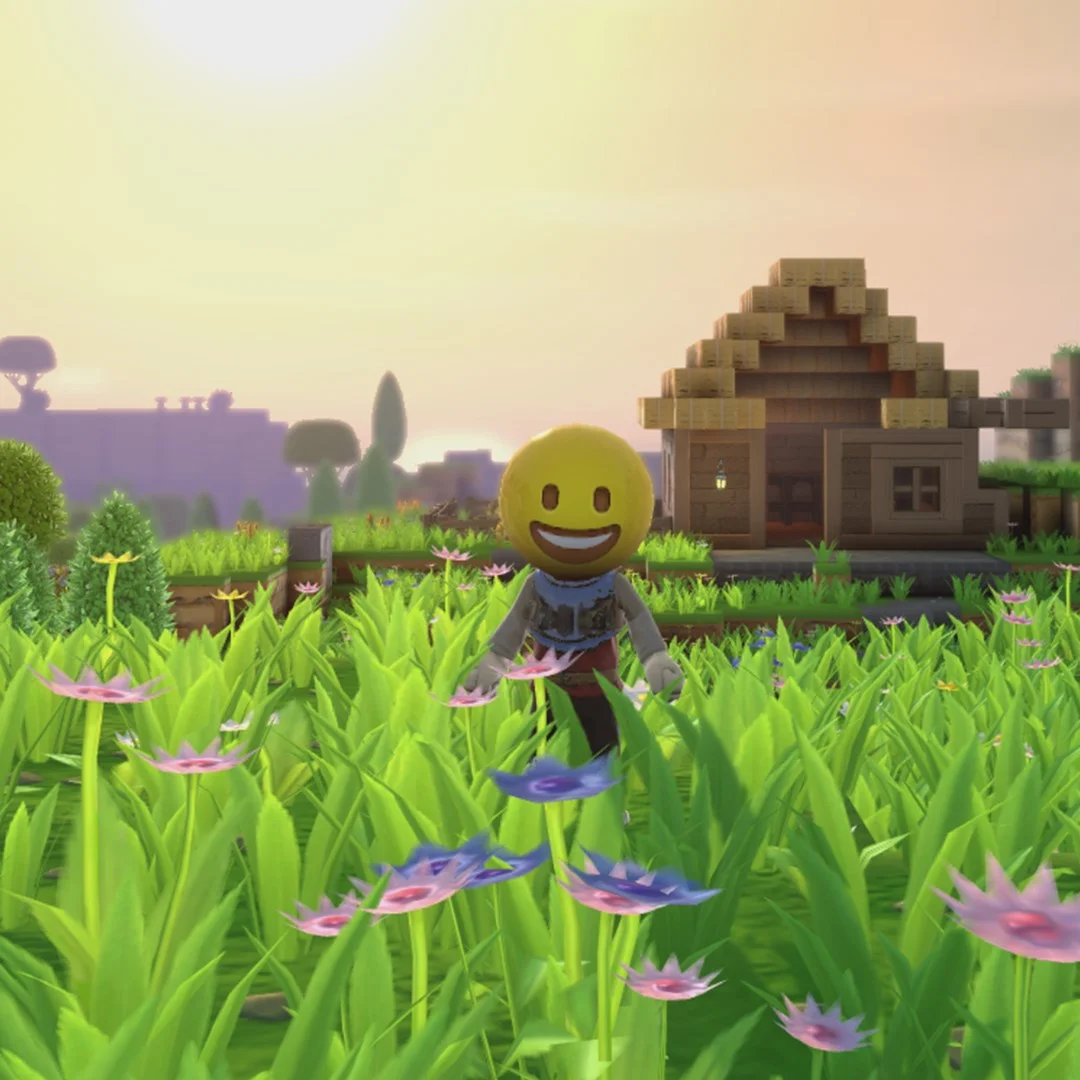 Portal Knights Emoji Box