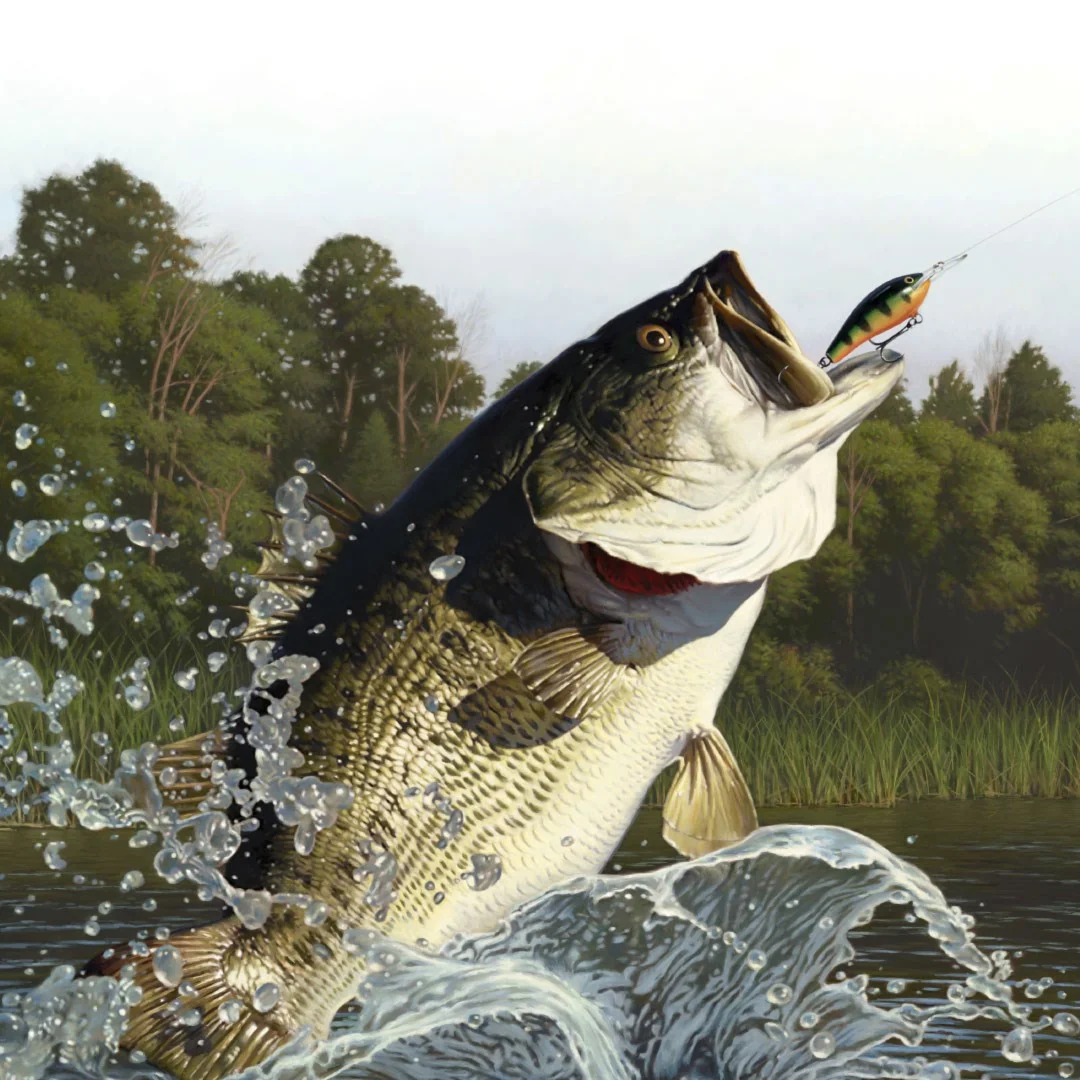 Lake Okeechobee Pack