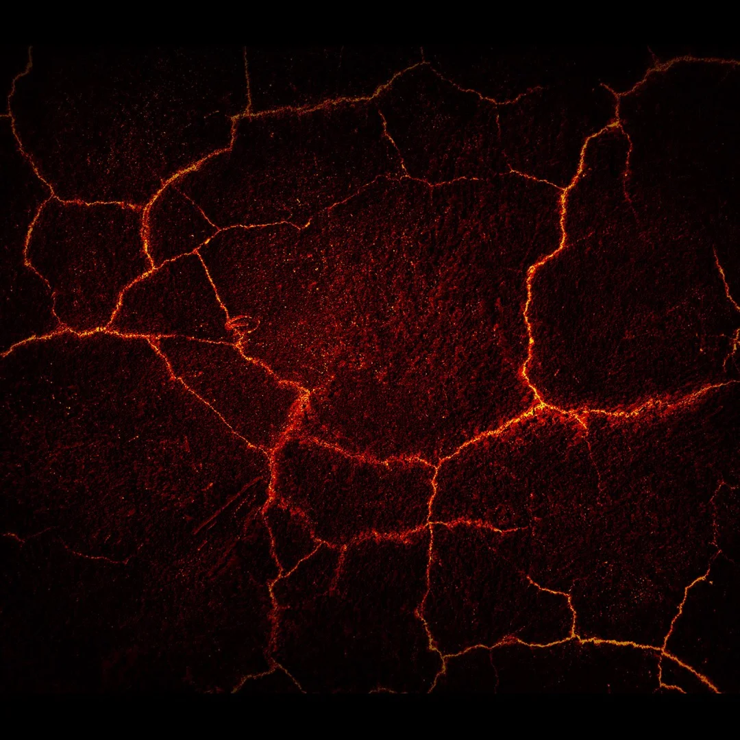 AVICII Invector Magma Track Pack